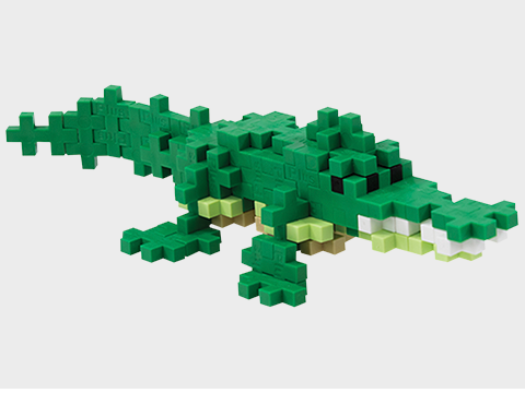 Alligator