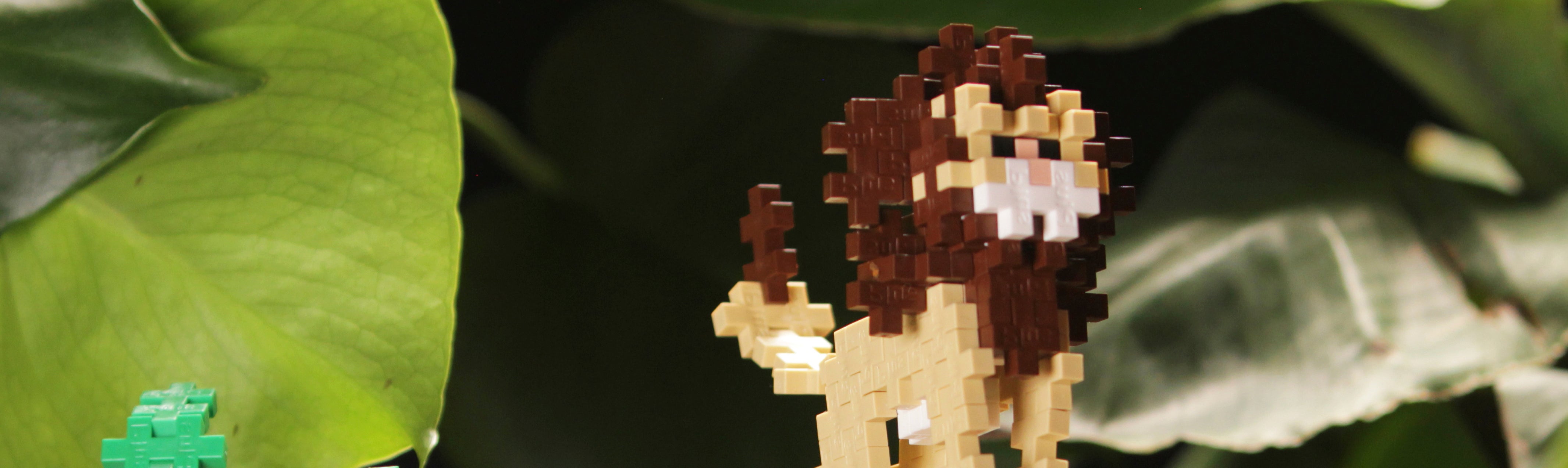 Animals and Dinosaurs