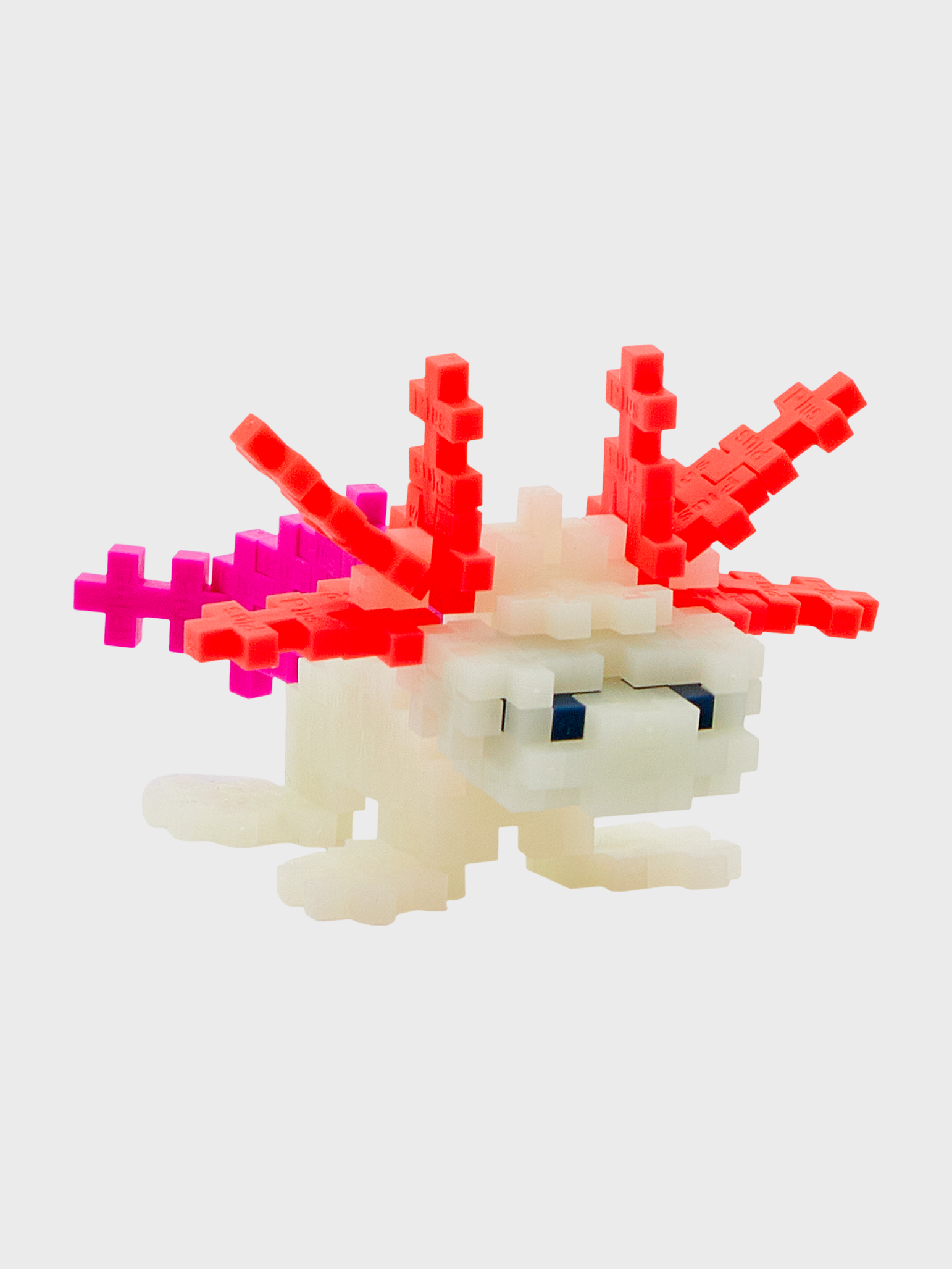 Axolotl