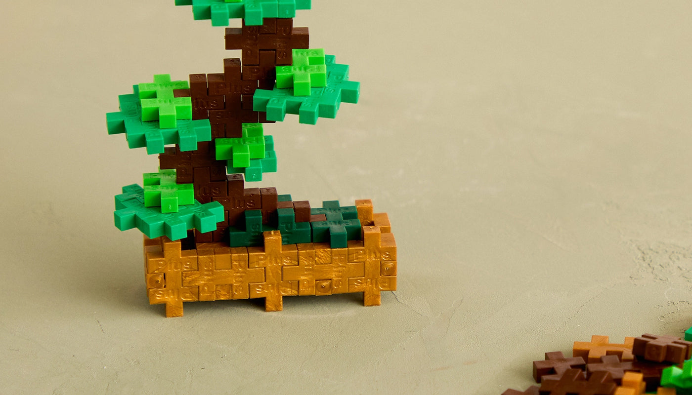 Green Bonsai