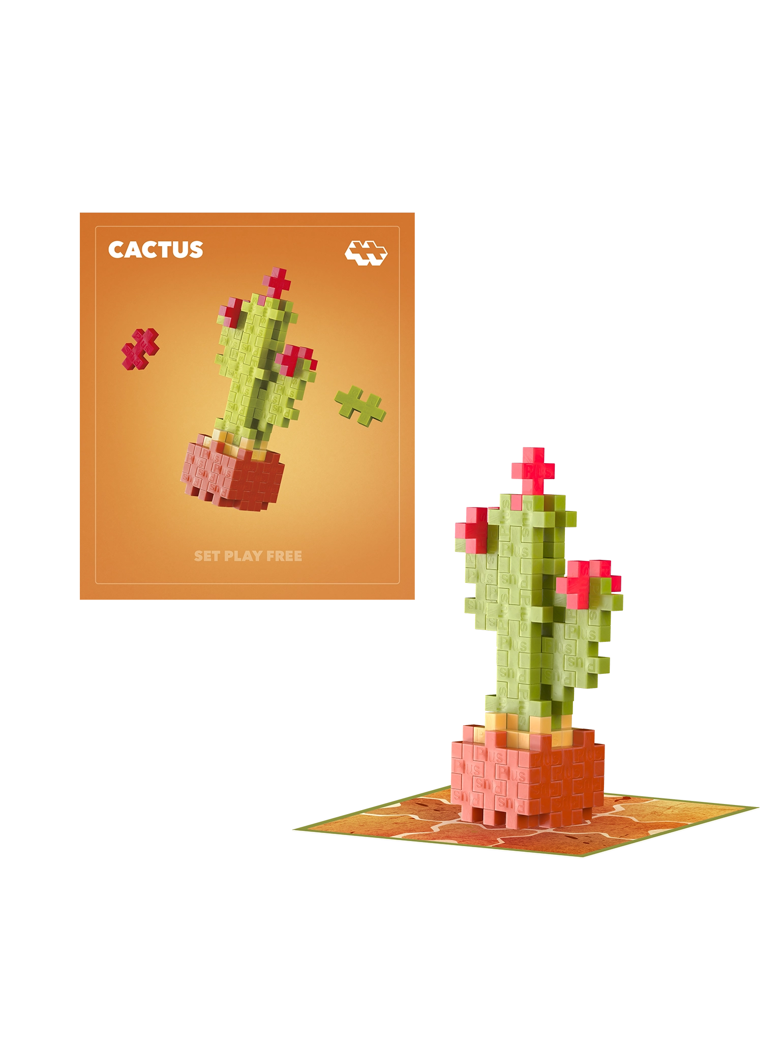 Cactus