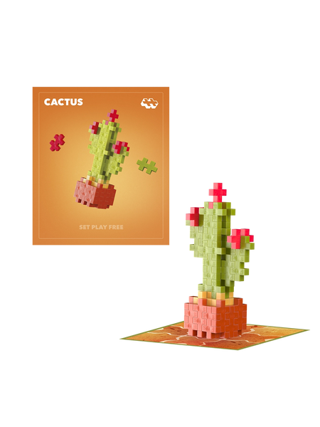 4343Seedpack_Cactus_Mat_grande