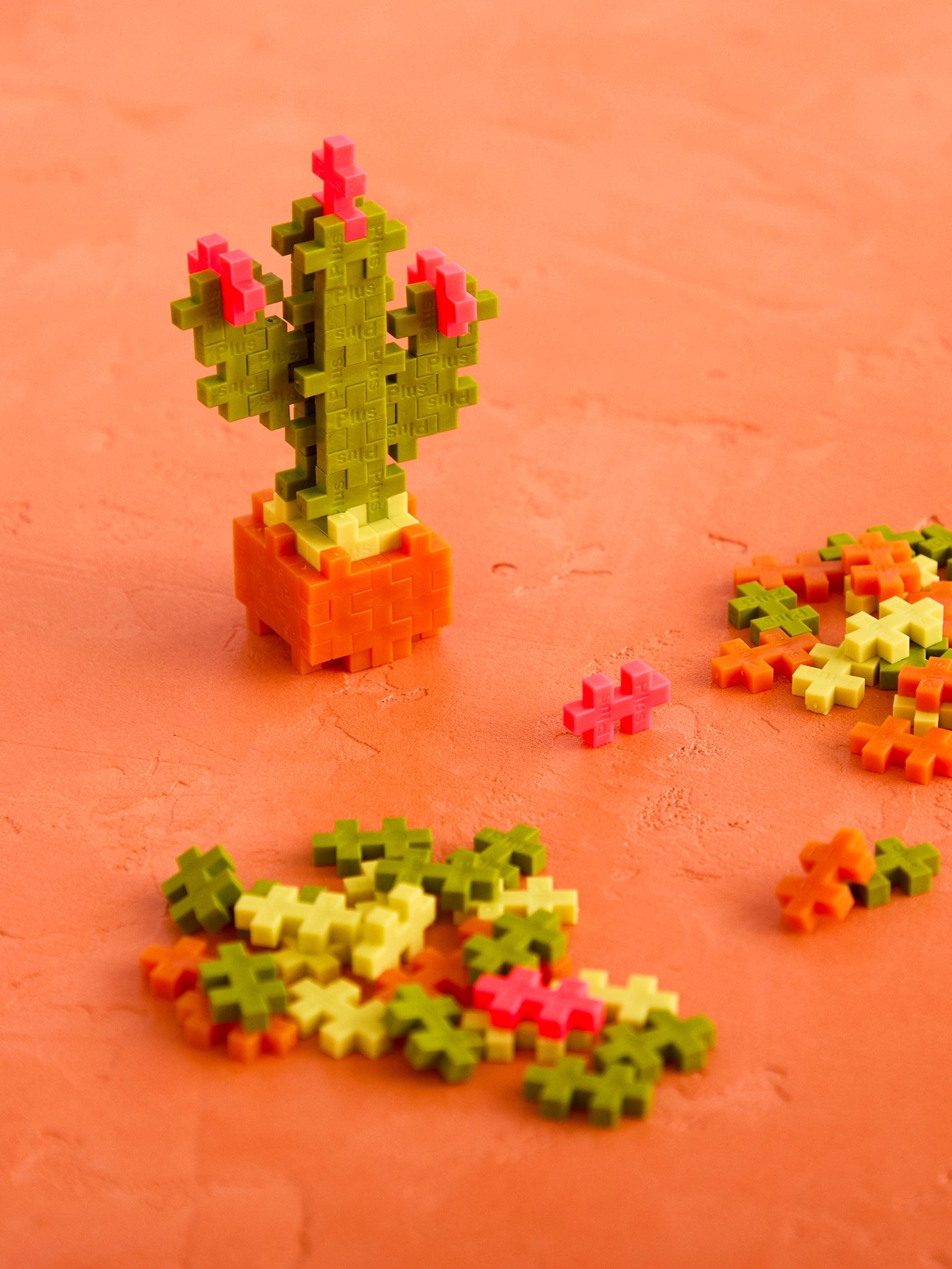 Cactus